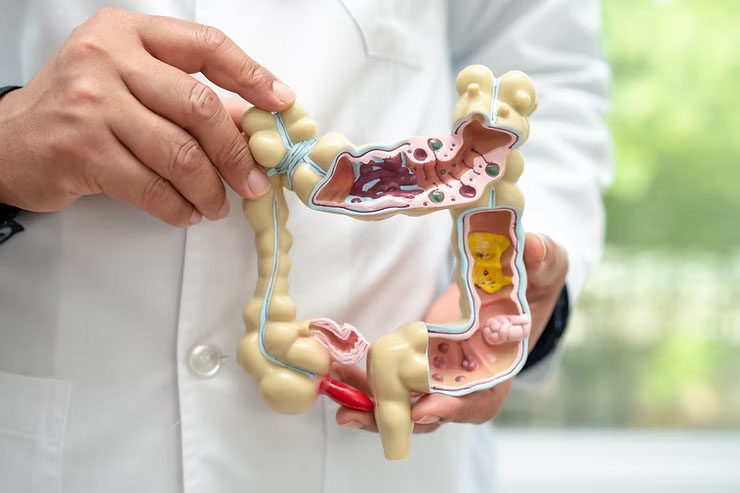 Digestive Health Check: Signs of a Healthy Gut
